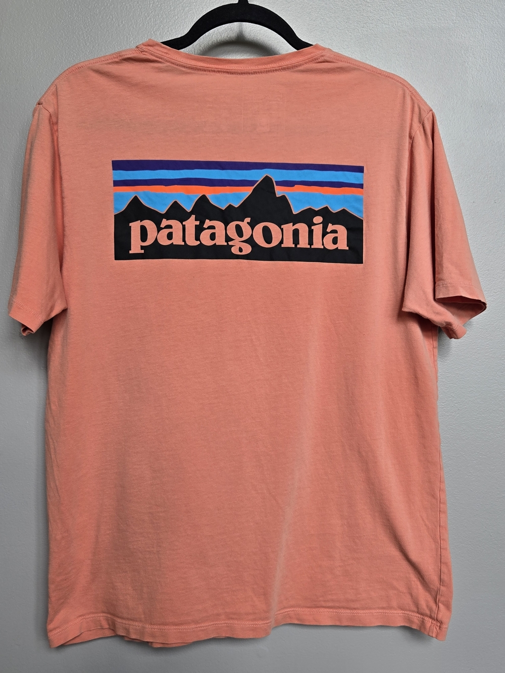 Patagonia Men's P-6 Mission Organic T-Shirt - S